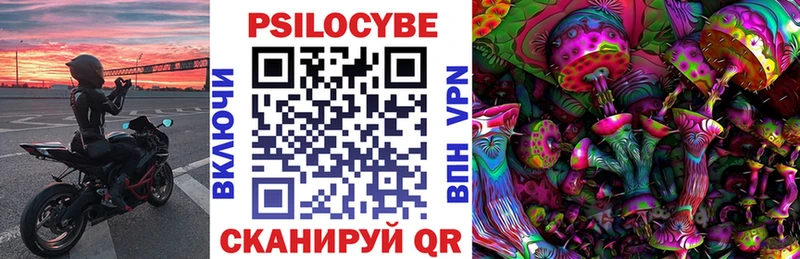 Купить закладки  Иннополис  Галлюциногенные грибы Psilocybine cubensis 